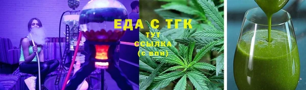 сатива Новозыбков