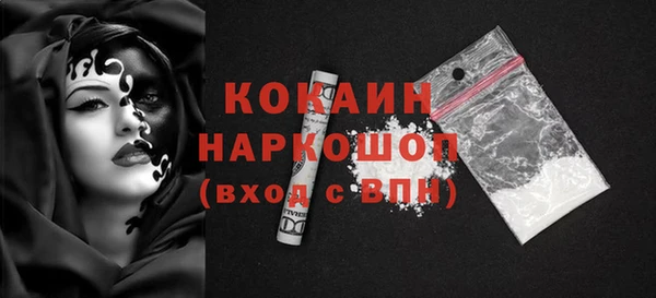 шишки Новокубанск