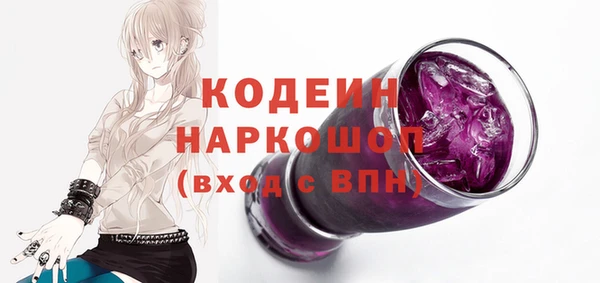 сатива Новозыбков