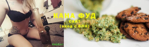 сатива Новозыбков