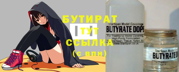сатива Новозыбков
