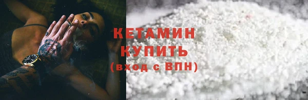 сатива Новозыбков