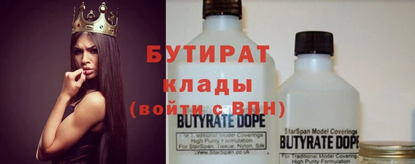 сатива Новозыбков