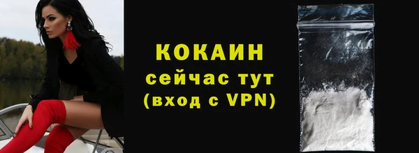 сатива Новозыбков
