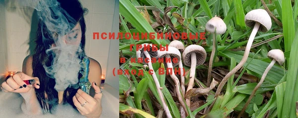каннабис Новодвинск
