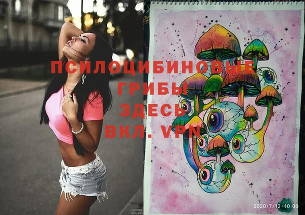 шишки Новокубанск