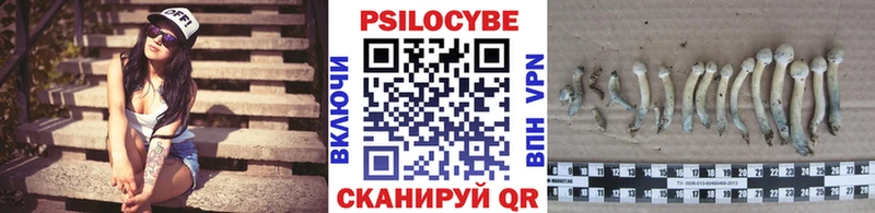купить   Ковдор  Галлюциногенные грибы мицелий 
